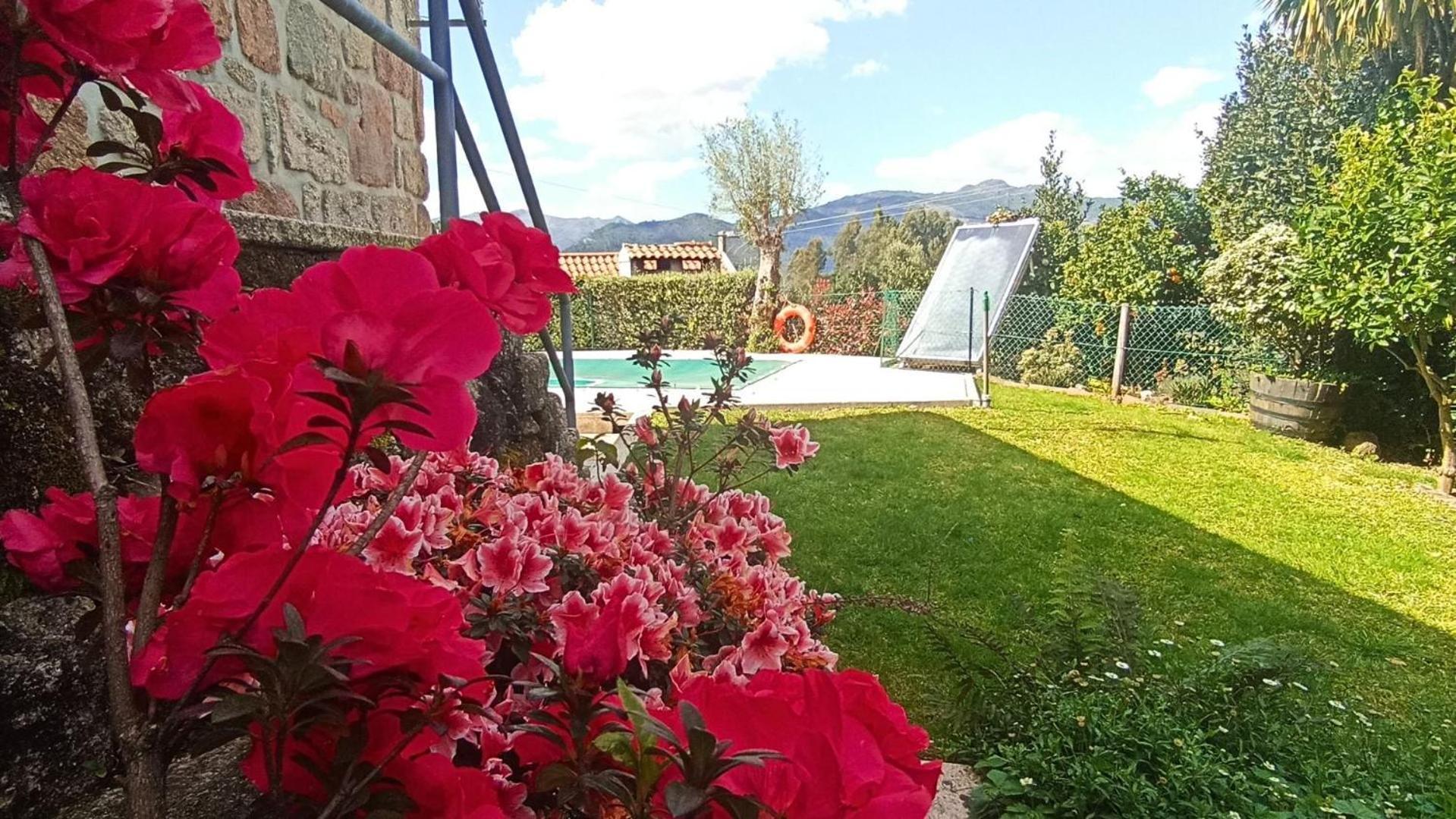 Casa Da Lage - T1 Com Piscina Privada - Geres Eksteriør bilde